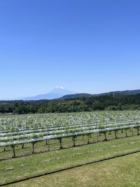 友達の結婚式に行ってきました♪
