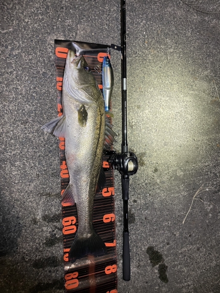 足立の釣り日記