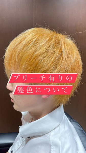 ブリーチについて
