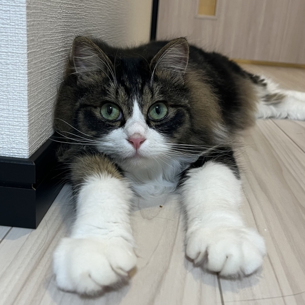 休日