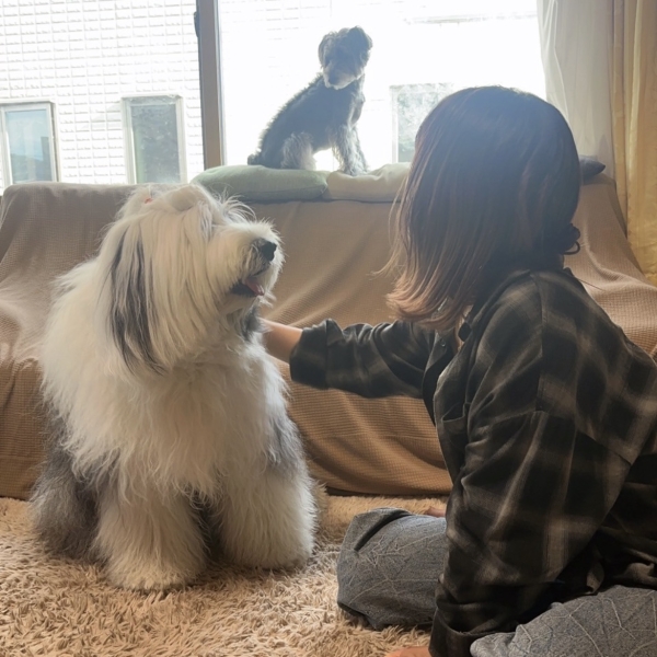 癒しの休日🩷