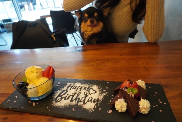 おすすめのお店教えてください！