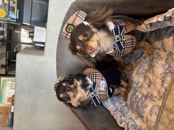 友達のセレクトショップ