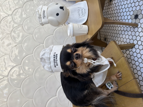 なんともいえないかお