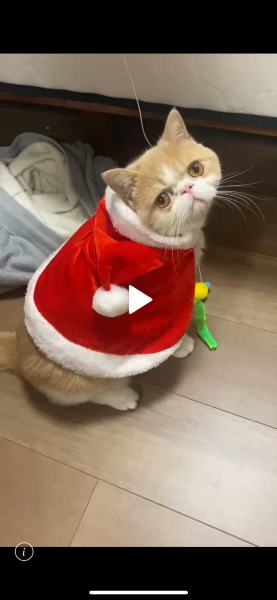 クリスマスですね