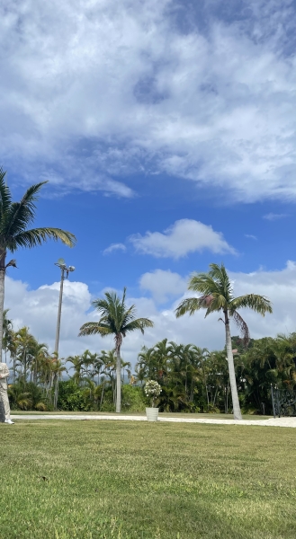 夏のモテショート