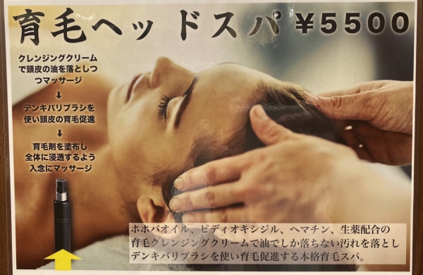 Scalp Spa