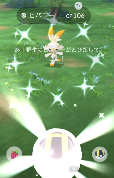 思ったよりオレンジ