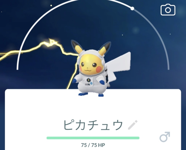 素敵コラボ