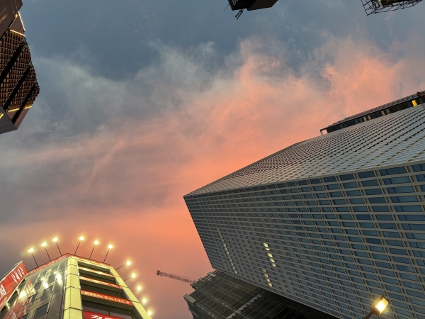 職場からの景色