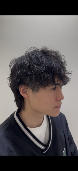 この春おすすめ！ウルフツイスパ