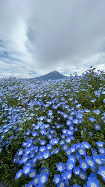 叫んで笑って癒された2日間