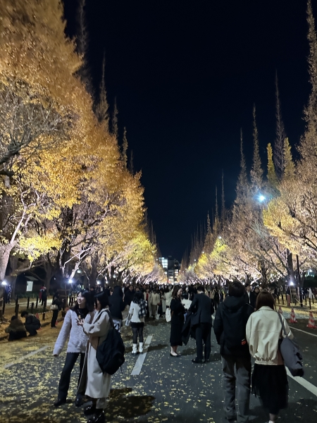 【外苑前いちょう並木】