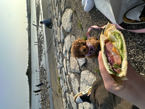 【葛西臨海公園で愛犬とピクニック！】