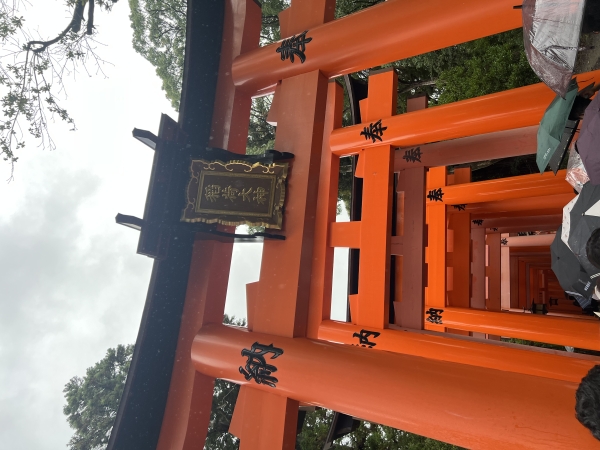 久しぶりのブログ