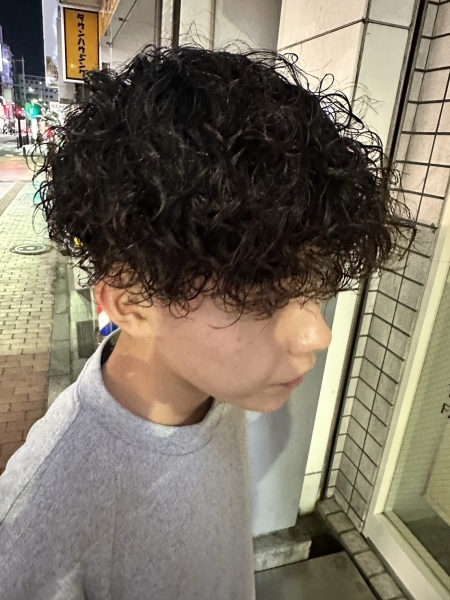 プードルパーマ