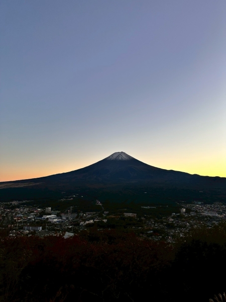 こんなに綺麗なの見た事ない。