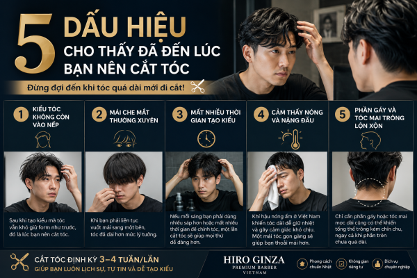 5 Dấu Hiệu Cho Thấy Đã Đến Lúc Bạn Nên Cắt Tóc
